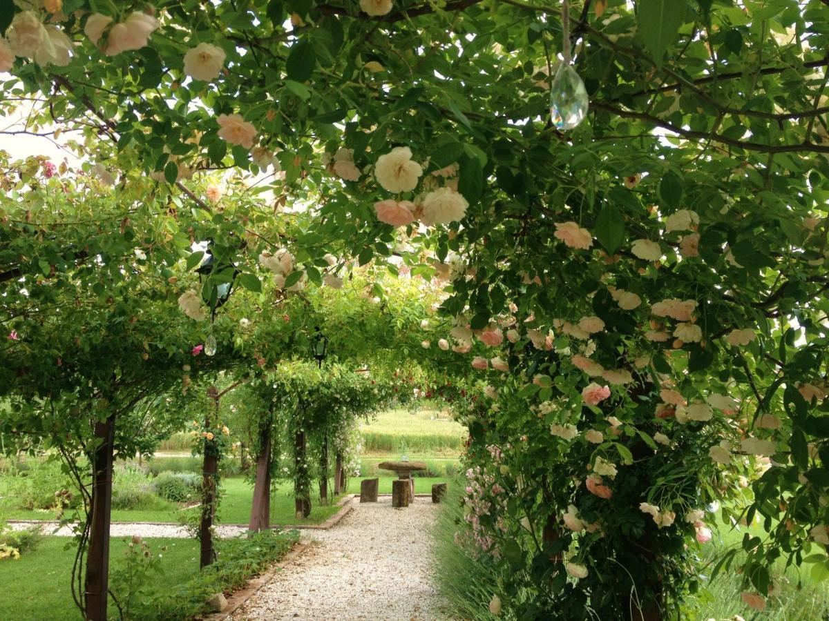 Abbazia Sette Frati Agriturismo Fratres 피에트라피타 객실 사진