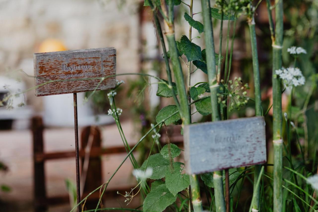 Abbazia Sette Frati Agriturismo Fratres 피에트라피타 외부 사진