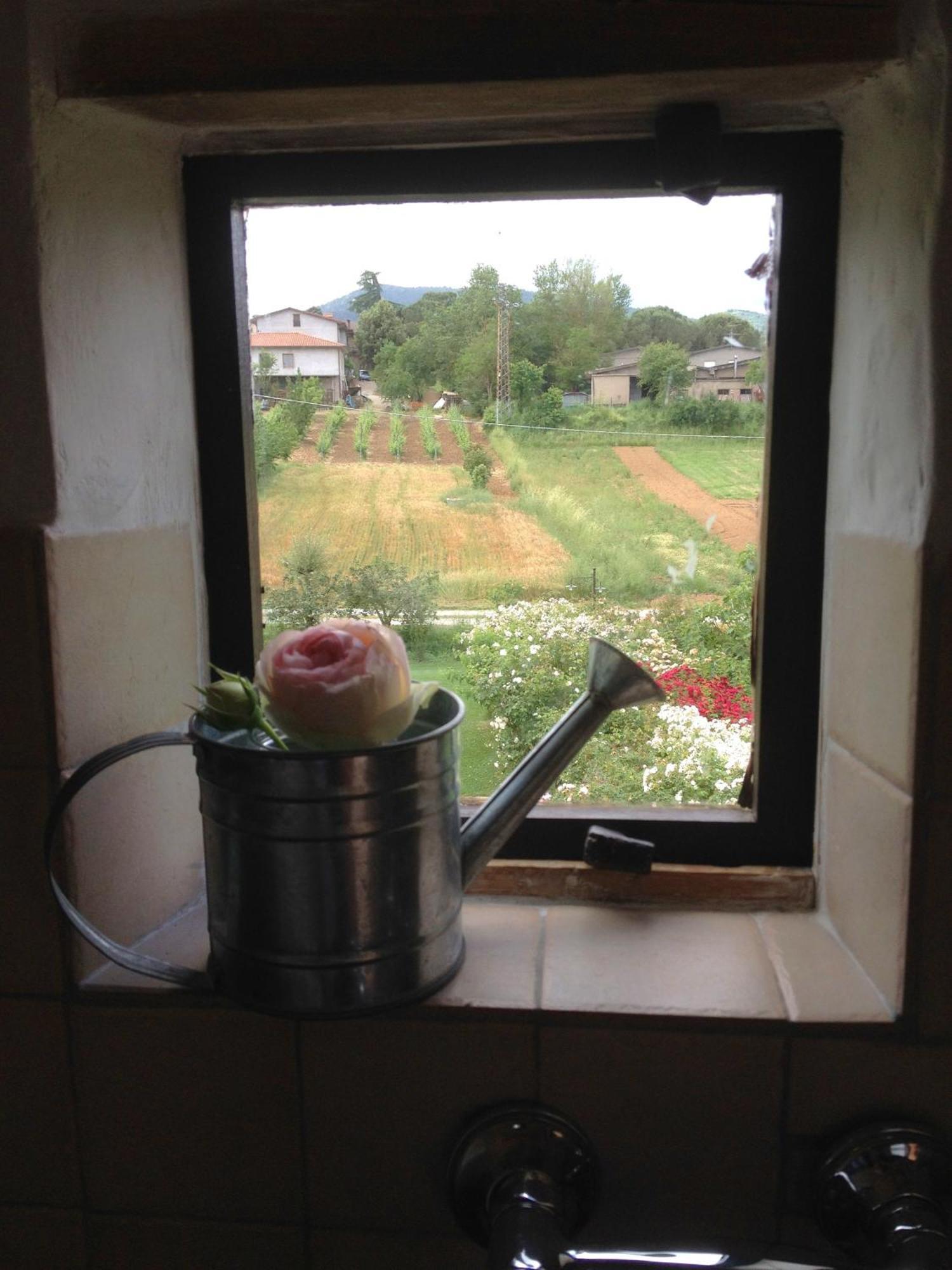 Abbazia Sette Frati Agriturismo Fratres 피에트라피타 객실 사진